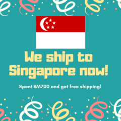 ship to singapore