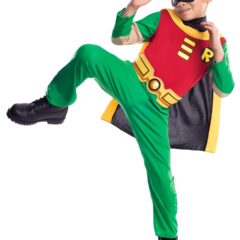 robin costume